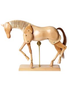 Wooden Anatomical Horse