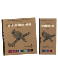 Spectrum Colour Pencils Eco Boxes