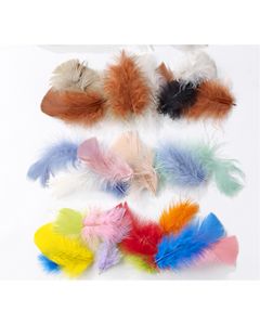 Mixed Feathers