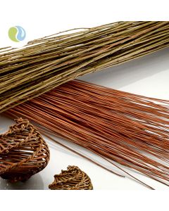 Willow Withies
