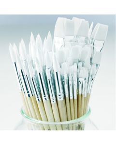 Student Short Handled Synthetic Brush Class Pack