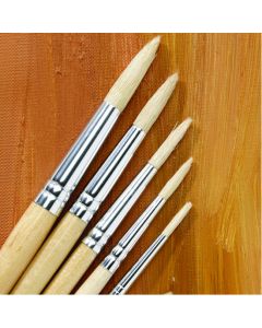 Students Long Handled Round Hog Brush Bulk Pack. Pack of 45