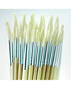 Student Round Hog Brush Bulk Pack. Pack of 45