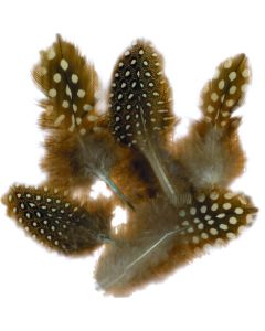 Feathers 10g  - Natural Spotted