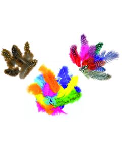 Feathers Class Pack