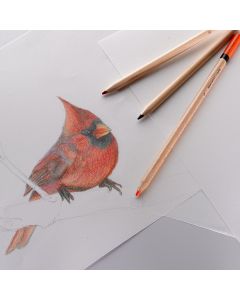 Drawing Cartridge 100gsm