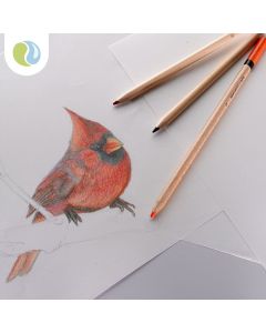 Specialist Crafts Drawing Cartridge Paper - 100gsm