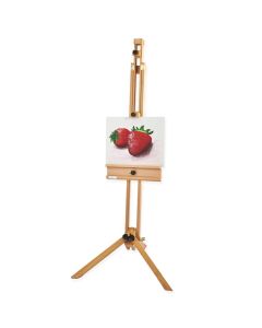 Specialist Crafts Radial Easel