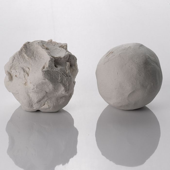 Porcelain Paper Clay Dryad Education
