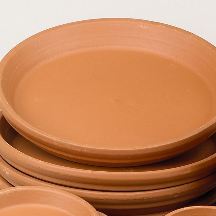 Terracotta plates new arrivals